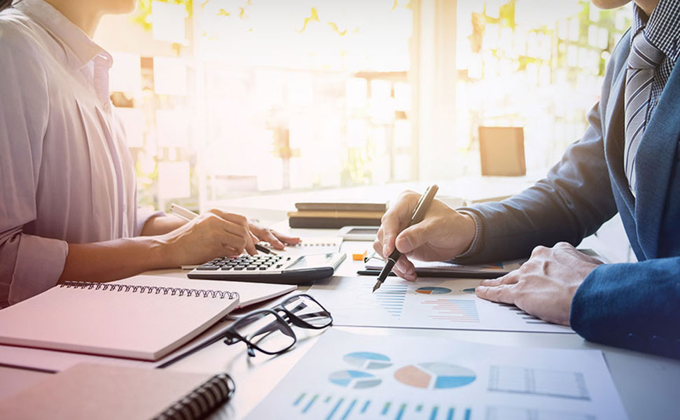 Danışmanlık ve Denetim